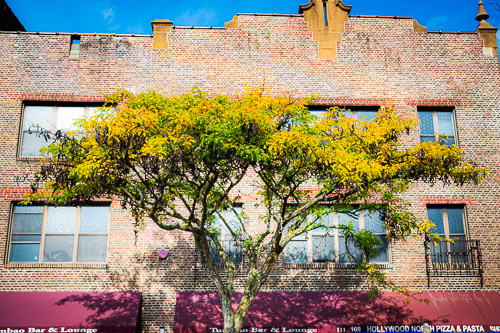 Sleepy Hollow, NY - Oct 2025